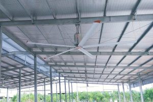 LARGE CAPACITY CEILING FAN HELPS TO CONDITION THE AIR BETTER